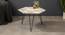 Cosmos Coffee Table (Matte Finish) by Urban Ladder - Front View Design 1 - 847161