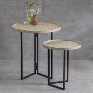 Engineered Wood Side And End Tables Design Engineered Wood Side Table in Matte Finish