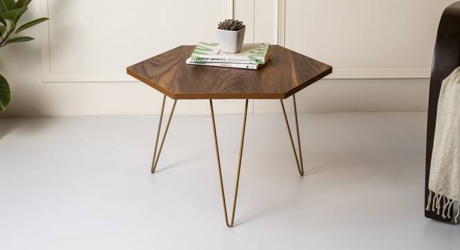 Teak Hues Coffee Table (Matte Finish) by Urban Ladder - Front View Design 1 - 847168