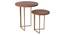 Teak Hues Nested Table (Matte Finish) by Urban Ladder - Design 1 Side View - 847184