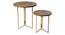Mirage Nested Table (Matte Finish) by Urban Ladder - Design 1 Side View - 847188