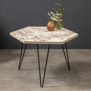 a tiny mistake Cosmo Hexagonal Engineered Wood Coffee Table in Matte Finish-picture-43