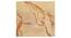 Mirage Gold Wool Carpet (Gold, 4 x 6 Feet Carpet Size) by Urban Ladder - Ground View Design 1 - 847472