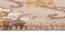 Bernice Beige Wool Carpet (Beige, 4 x 6 Feet Carpet Size) by Urban Ladder - Ground View Design 1 - 847770