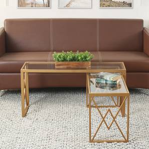 Valentino Rectangular Metal Coffee Table in Golden Finish-image-32