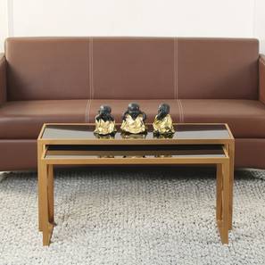 claymint Valentino Rectangular Metal Coffee Table in Golden Finish-picture-12