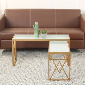 claymint Valentino Rectangular Metal Coffee Table in Golden Finish-picture-18