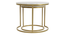 Nelson Nesting Set of 2 Coffee Table - 1-93-1-4 (Golden Finish) by Urban Ladder - Rear View Design 1 - 847966