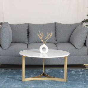 claymint Verona Round Metal Coffee Table in Golden Finish-picture-20