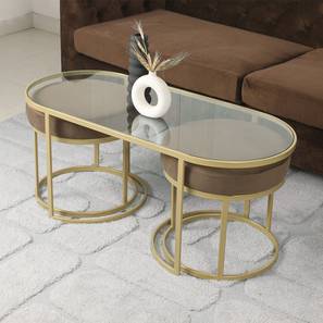 claymint Benton Rectangular Metal Coffee Table in Golden Finish-picture-14
