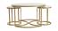 Nelson Nesting Coffee Table Set of 3 - 1-93-1-6 (Golden Finish) by Urban Ladder - Front View Design 1 - 848016