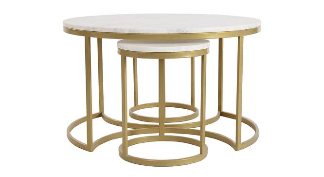 Nelson Nesting Coffee Table Set of 3 - 1-93-1-6 (Golden Finish) by Urban Ladder - Design 1 Side View - 848022