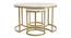 Nelson Nesting Coffee Table Set of 3 - 1-93-1-6 (Golden Finish) by Urban Ladder - Design 1 Side View - 848022
