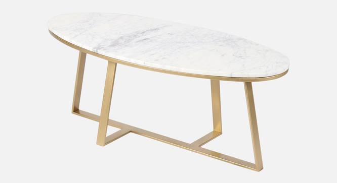 Franklin Marble Coffee Table In Gold Finish - 1-41-1-1 (Golden Finish) by Urban Ladder - Design 1 Side View - 848024