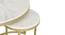 Nelson Nesting Coffee Table Set of 3 - 1-93-1-6 (Golden Finish) by Urban Ladder - Rear View Design 1 - 848071