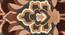Metoh Brown Wool Carpet (Brown, 5 x 8 Feet Carpet Size) by Urban Ladder - - 