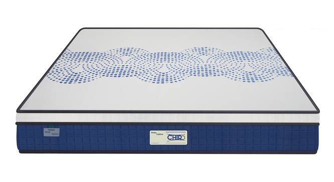 Chiro Orthopedic Bonded Foam Mattress - Double Size (Queen Mattress Type, 8 in Mattress Thickness (in Inches), 75 x 48 in Mattress Size) by Urban Ladder - - 