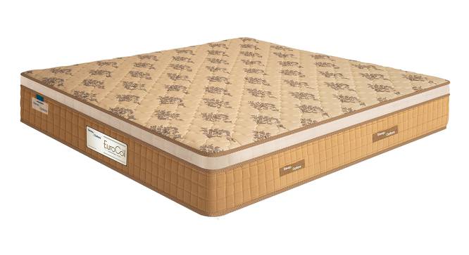 Eurocoil Pocket Spring Mattress - Double Size (Queen Mattress Type, 7 in Mattress Thickness (in Inches), 72 x 48 in Mattress Size) by Urban Ladder - - 