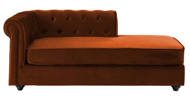 Ease Velvet Chaise Launger in T Blue  Colour (Brown, Matte Finish) by Urban Ladder - Front View Design 1 - 851856