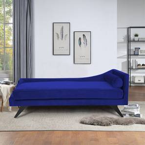 home lifestylez Kawa Diwan in Navy Blue Colour-picture-18