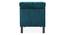 Knup Velvet Chaise Launger in T Blue Colour (Turquoise Blue, Matte Finish) by Urban Ladder - Ground View Design 1 - 851989