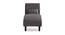 Fiest Velvet Chaise Launger in T Blue  Colour (Grey, Matte Finish) by Urban Ladder - Rear View Design 1 - 852386