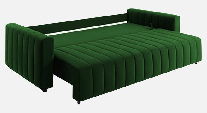Beliss 3 Seater Pull Out Sofa Cum Bed ith storage In Orange Colour (Green) by Urban Ladder - Ground View Design 1 - 852824