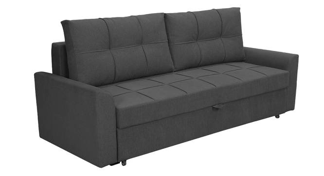 Barato 3 Seater Pull Out Sofa Cum Bed In Nav Blue Colour (Dark Grey) by Urban Ladder - Design 1 Side View - 852858
