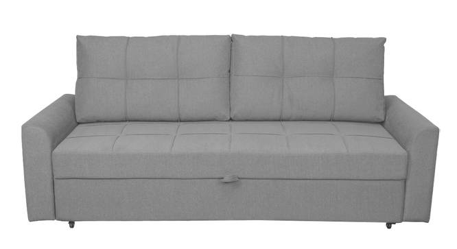 Barato 3 Seater Pull Out Sofa Cum Bed In Nav Blue Colour (Grey) by Urban Ladder - Front View Design 1 - 852962