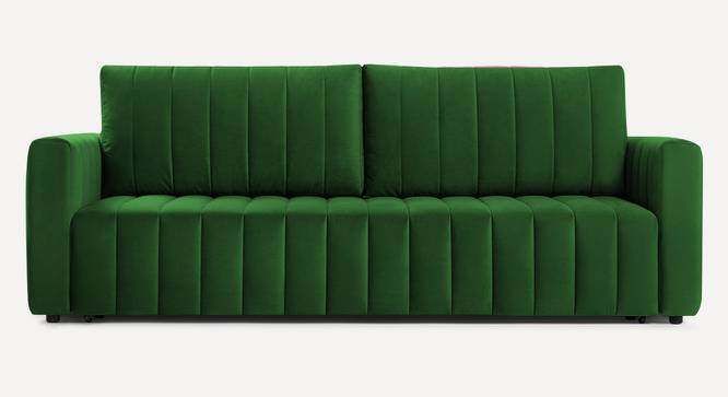 Beliss 3 Seater Pull Out Sofa Cum Bed ith storage In Orange Colour (Green) by Urban Ladder - Front View Design 1 - 852968