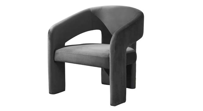 Ashley Velvet Accent Chair in Yellow Colour (Dark Grey) by Urban Ladder - Front View Design 1 - 852972