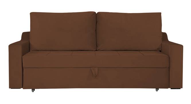 Step 3 Seater Pull Out Sofa Cum Bed In T Blue  Colour (Brown) by Urban Ladder - Design 1 Side View - 853113