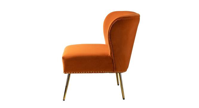 Rabel  Accent Chair in Green Colour (Orange) by Urban Ladder - Design 1 Side View - 853144
