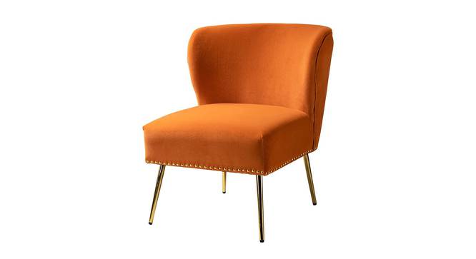 Rabel  Accent Chair in Green Colour (Orange) by Urban Ladder - Front View Design 1 - 853208