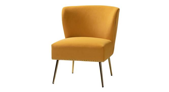Rabel  Accent Chair in Green Colour (Yellow) by Urban Ladder - Front View Design 1 - 853210