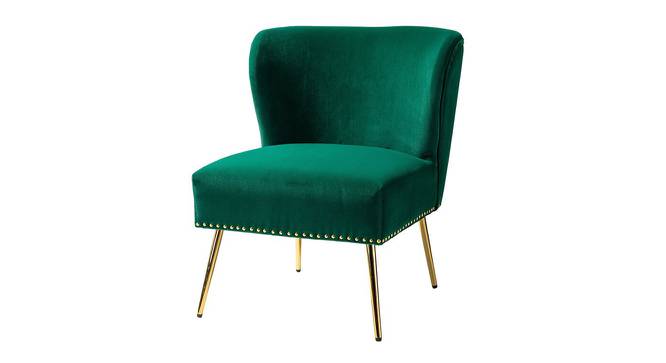 Rabel  Accent Chair in Green Colour (Green) by Urban Ladder - Front View Design 1 - 853213