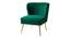 Rabel  Accent Chair in Green Colour (Green) by Urban Ladder - Front View Design 1 - 853213
