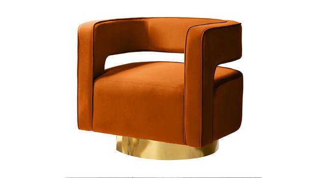 Alson Accent Chair in T Blue Colour (Orange) by Urban Ladder - Front View Design 1 - 853225