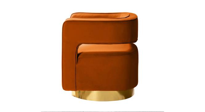 Alson Accent Chair in T Blue Colour (Orange) by Urban Ladder - Design 1 Side View - 853239