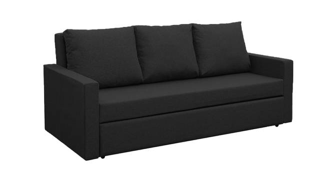 Akron 3 Seater Pull Out Sofa Cum Bed In Nav Blue  Colour (Black) by Urban Ladder - Front View Design 1 - 853293