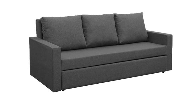 Akron 3 Seater Pull Out Sofa Cum Bed In Nav Blue  Colour (Dark Grey) by Urban Ladder - Front View Design 1 - 853295