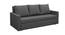 Akron 3 Seater Pull Out Sofa Cum Bed In Nav Blue  Colour (Dark Grey) by Urban Ladder - Front View Design 1 - 853295