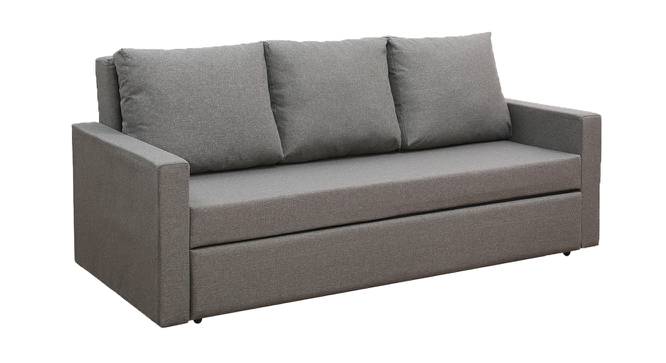 Akron 3 Seater Pull Out Sofa Cum Bed In Nav Blue  Colour (Grey) by Urban Ladder - Front View Design 1 - 853296