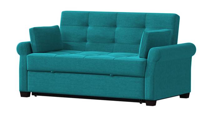 Serta 3 Seater Pull Out Sofa Cum Bed In Grey Colour (Teal Blue) by Urban Ladder - Front View Design 1 - 853302