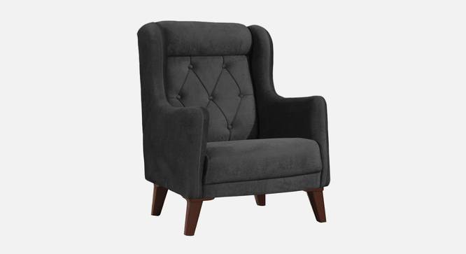 Ruby Accent Chair in Black Colour (Dark Grey) by Urban Ladder - Front View Design 1 - 853330