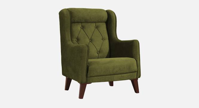 Ruby Accent Chair in Black Colour (Mint Green) by Urban Ladder - Front View Design 1 - 853335