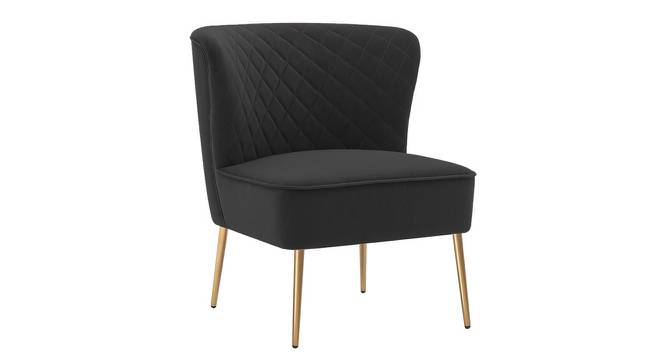 Ruba Accent Chair in Pink Colour (Black) by Urban Ladder - Front View Design 1 - 853347