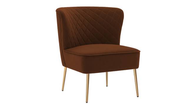 Ruba Accent Chair in Pink Colour (Brown) by Urban Ladder - Front View Design 1 - 853349