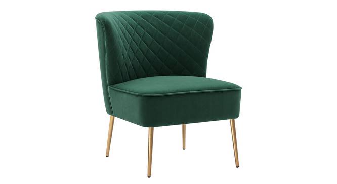 Ruba Accent Chair in Pink Colour (Green) by Urban Ladder - Front View Design 1 - 853353