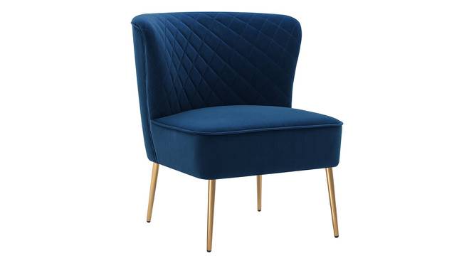 Ruba Accent Chair in Pink Colour (Navy Blue) by Urban Ladder - Front View Design 1 - 853356